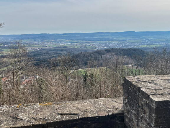 25-03-21 15-41-40 2502